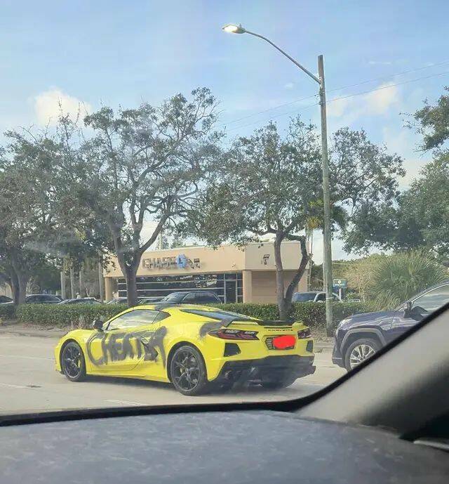 Daily Pictures. Part 1 (59 pics)