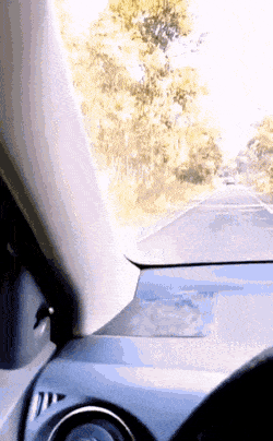 Acid GIFs, February 6 (25 gifs) Acid GIFs, February 6 (25 gifs)