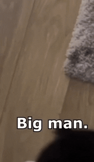 Acid GIFs, February 6 (25 gifs) Acid GIFs, February 6 (25 gifs)