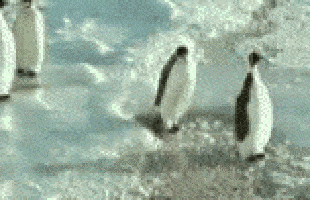 Acid GIFs, February 6 (25 gifs) Acid GIFs, February 6 (25 gifs)