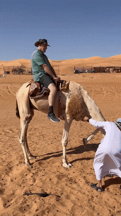 Acid GIFs, February 6 (25 gifs) Acid GIFs, February 6 (25 gifs)