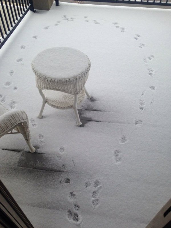 Cool Winter Photos (16 pics)