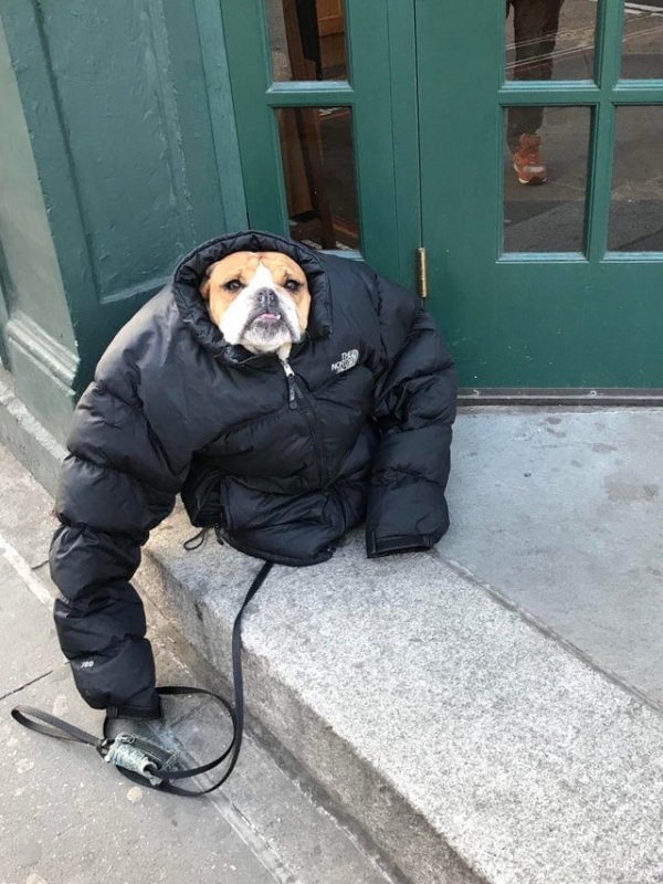 Cool Winter Photos (16 pics)