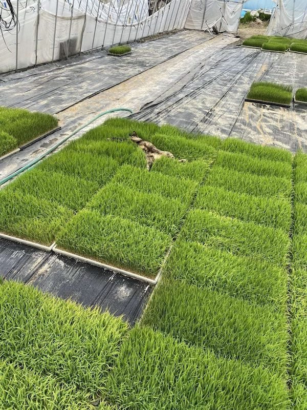 Photos For Perfectionists (17 pics)