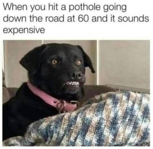 Daily Pictures. Part 2 (54 pics)