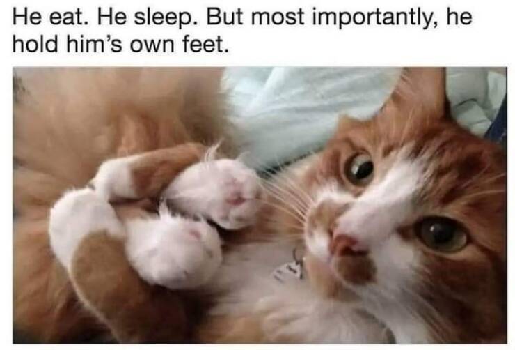 Daily Pictures. Part 2 (54 pics)