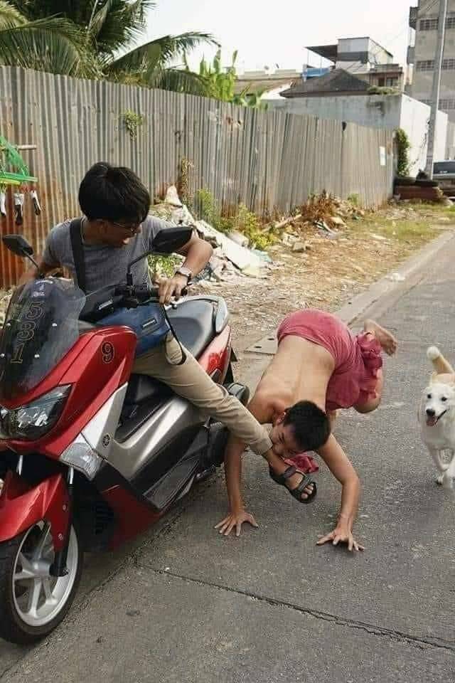 Daily Pictures. Part 2 (54 pics)