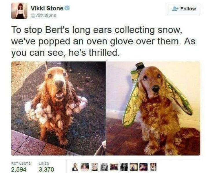 Daily Pictures. Part 2 (54 pics)