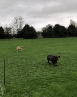 Acid GIFs, February 10 (25 gifs) Acid GIFs, February 10 (25 gifs)