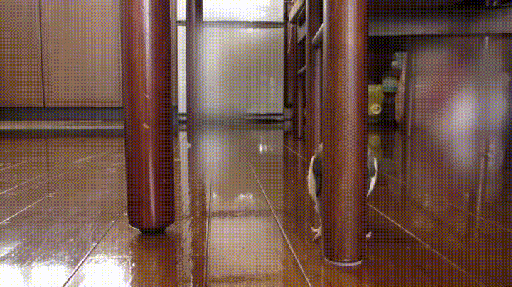 Acid GIFs, February 10 (25 gifs) Acid GIFs, February 10 (25 gifs)