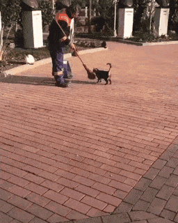 Acid GIFs, February 10 (25 gifs) Acid GIFs, February 10 (25 gifs)