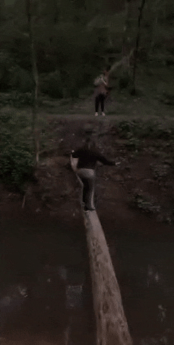 Acid GIFs, February 10 (25 gifs) Acid GIFs, February 10 (25 gifs)