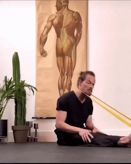 Acid GIFs, February 10 (25 gifs) Acid GIFs, February 10 (25 gifs)