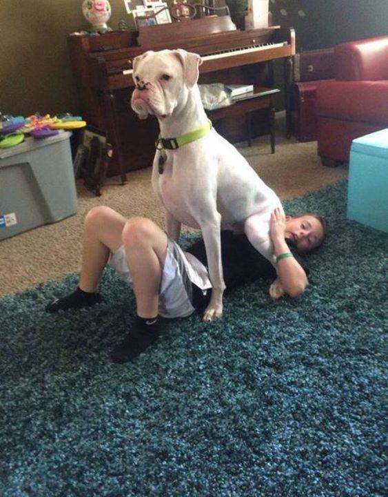 Daily Pictures. Part 1 (59 pics)