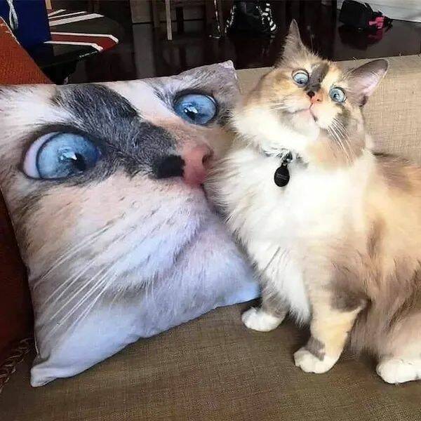 Daily Pictures. Part 1 (59 pics)