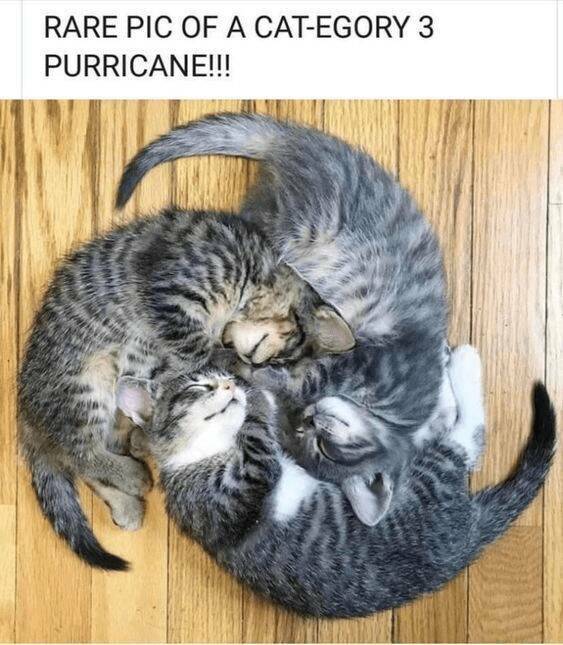 Daily Pictures. Part 2 (57 pics)