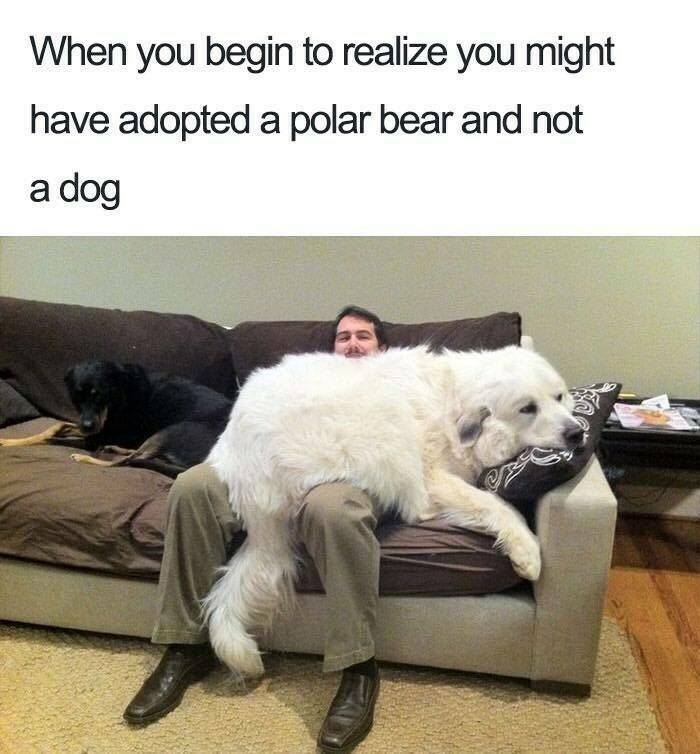 Daily Pictures. Part 2 (57 pics)