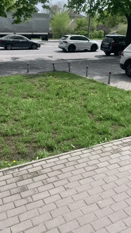 Acid GIFs, February 11 (25 gifs)