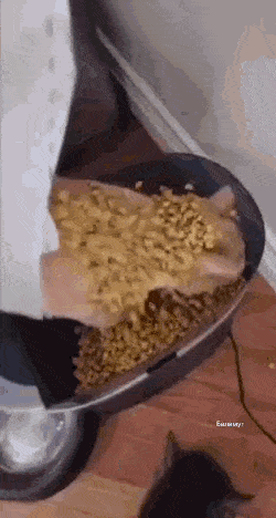 Acid GIFs, February 11 (25 gifs)