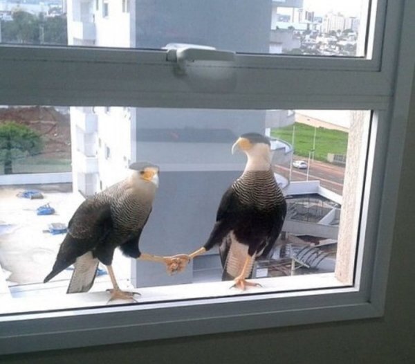 What Is Going On Here? (18 pics)