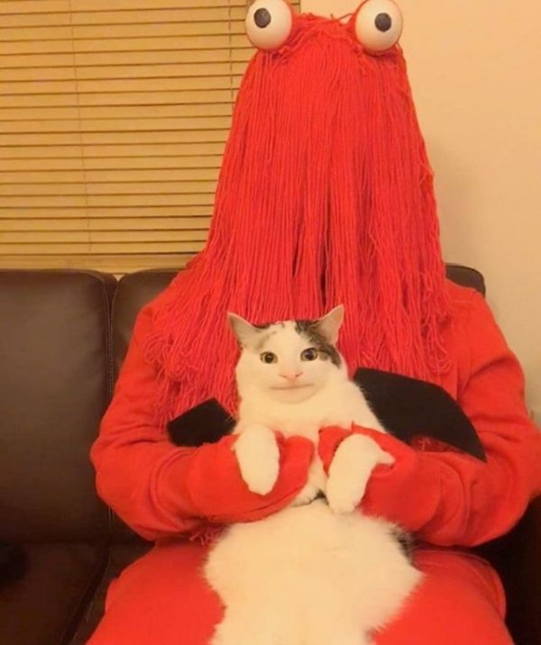 What Is Going On Here? (18 pics)