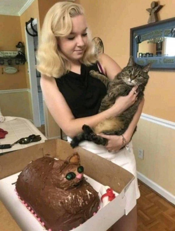 What Is Going On Here? (18 pics)
