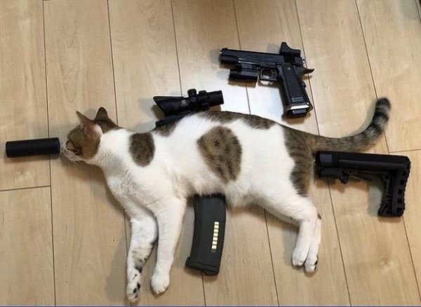What Is Going On Here? (18 pics)
