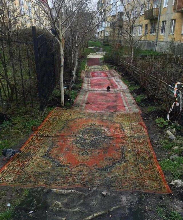 Daily Pictures. Part 1 (61 pics)