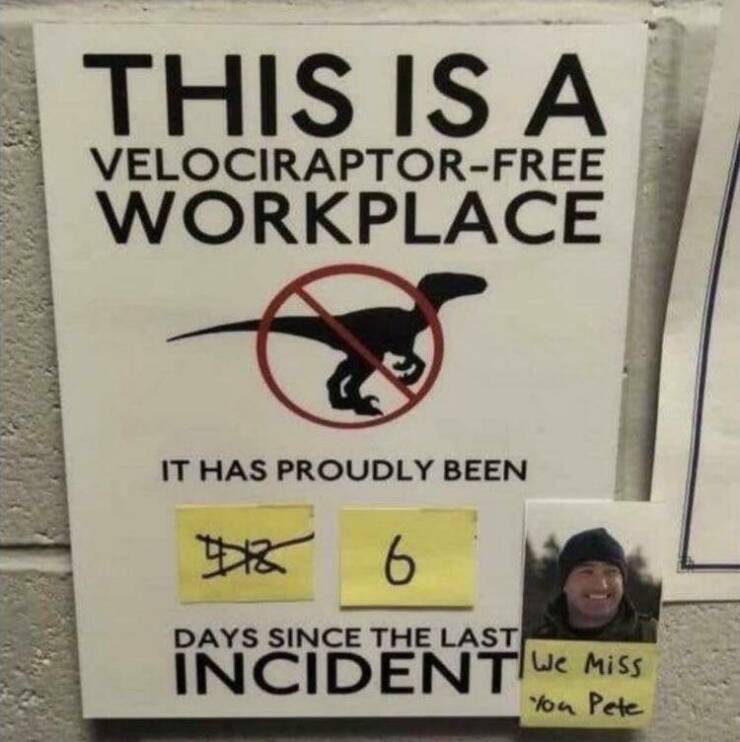 Daily Pictures. Part 2 (60 pics)