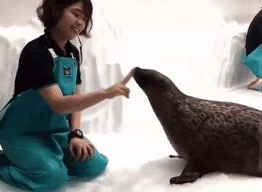Acid GIFs, February 12 (25 gifs) Acid GIFs, February 12 (25 gifs)