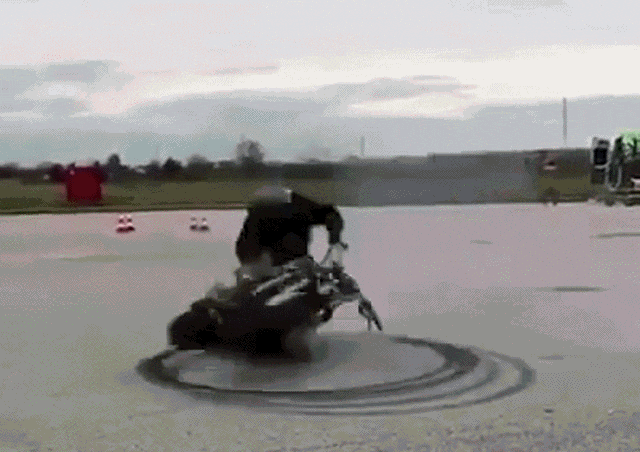 Acid GIFs, February 12 (25 gifs) Acid GIFs, February 12 (25 gifs)
