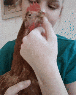 Acid GIFs, February 12 (25 gifs) Acid GIFs, February 12 (25 gifs)