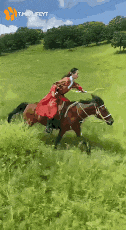 Acid GIFs, February 12 (25 gifs) Acid GIFs, February 12 (25 gifs)