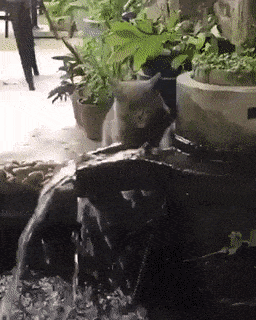 Acid GIFs, February 12 (25 gifs) Acid GIFs, February 12 (25 gifs)