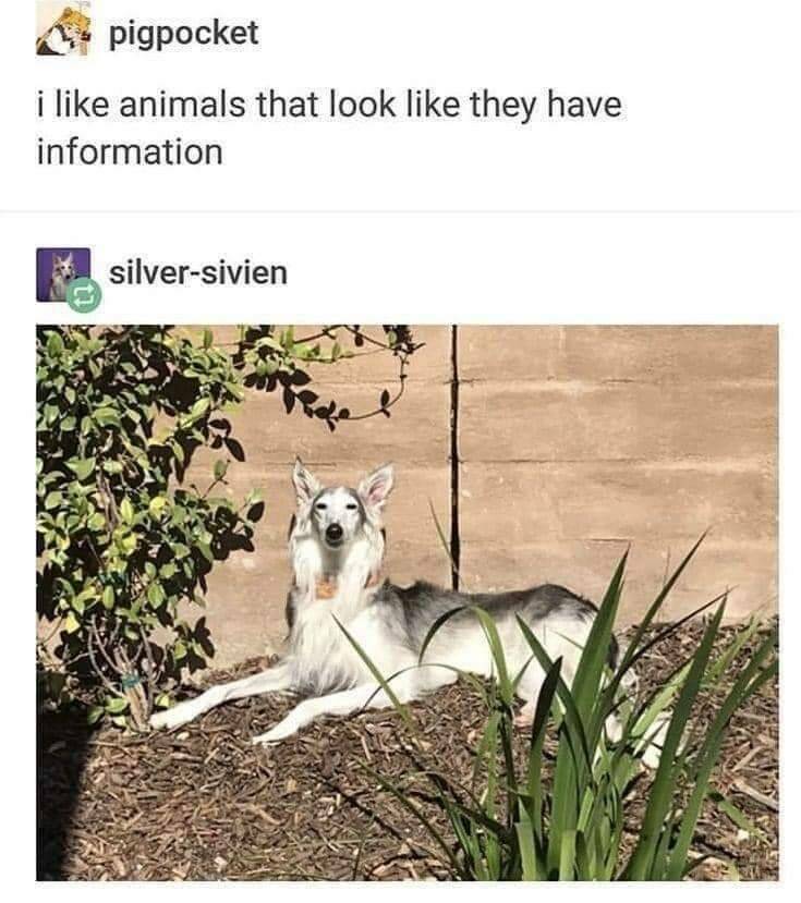 Daily Pictures. Part 2 (58 pics)