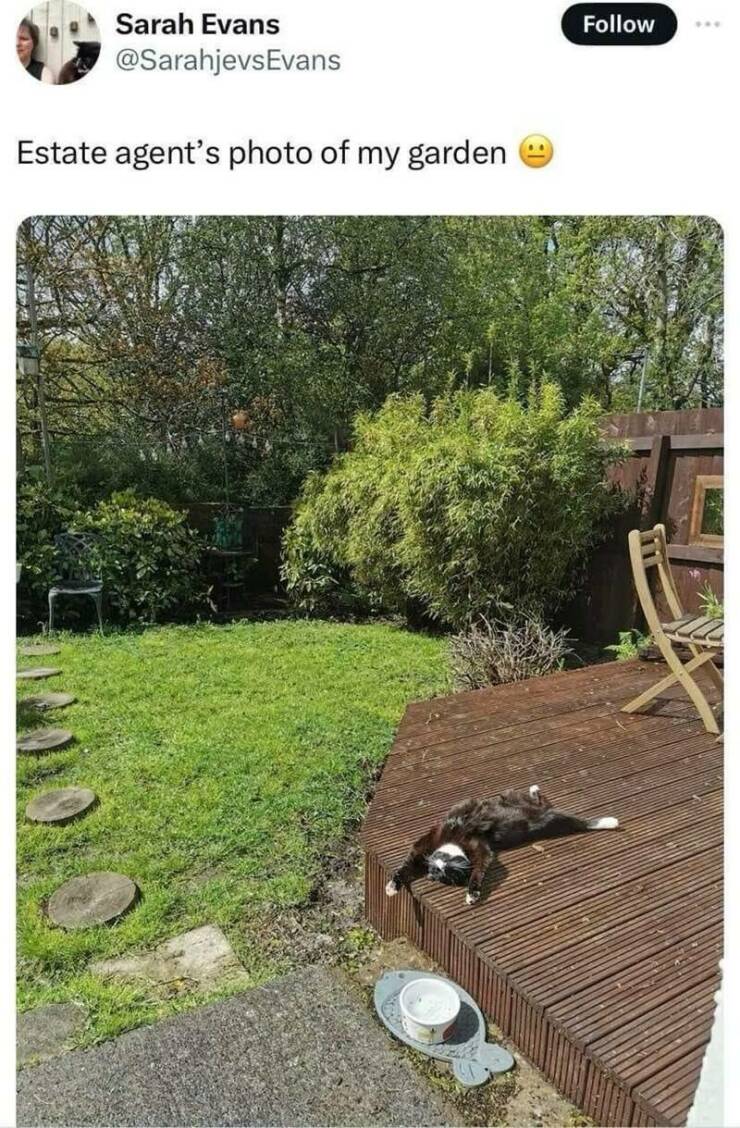 Daily Pictures. Part 2 (58 pics)