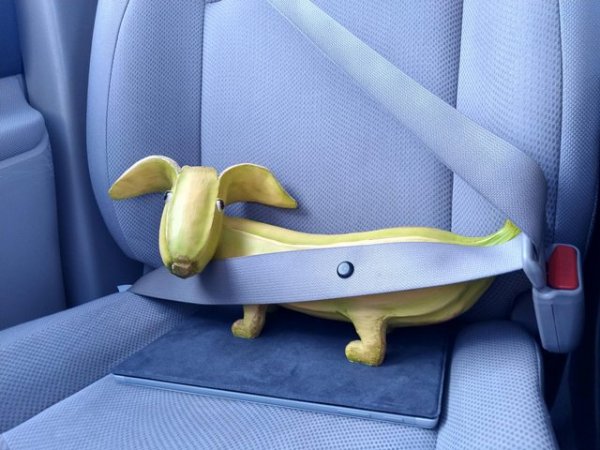 Weird Finds In Thrift Shops (17 pics)