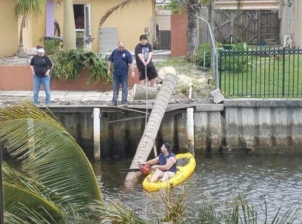 They Don't Care About Safety (17 pics)