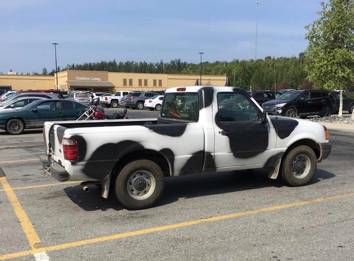 Crazy Cars (21 pics)