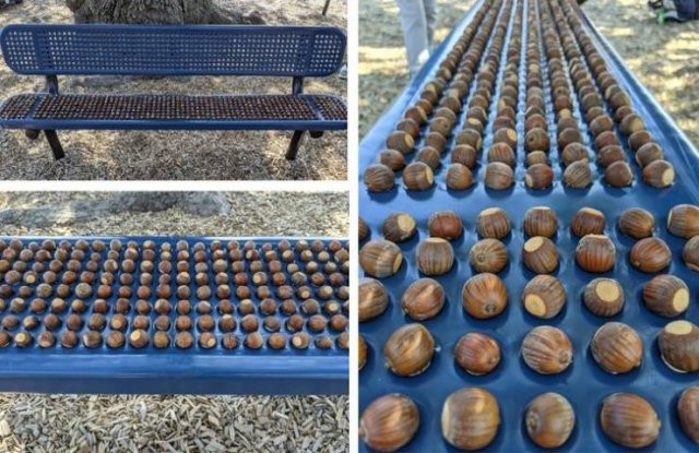 Photos For Perfectionists (18 pics)