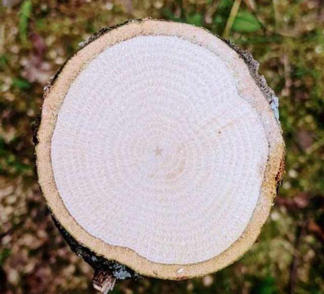 Photos For Perfectionists (18 pics)