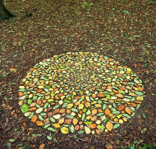 Photos For Perfectionists (18 pics)