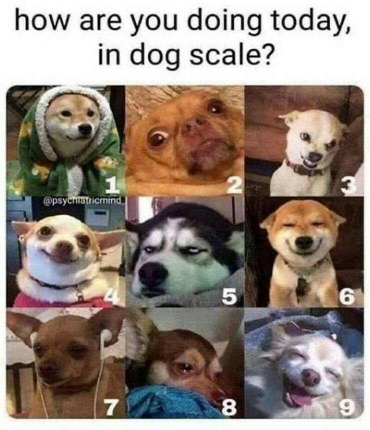 Daily Pictures. Part 2 (61 pics)