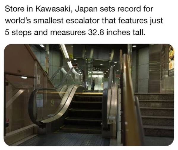 Daily Pictures. Part 1 (62 pics)