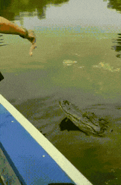 Acid GIFs, February 18 (25 gifs)