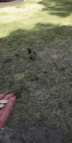 Acid GIFs, February 18 (25 gifs)