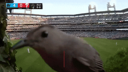 Acid GIFs, February 18 (25 gifs)