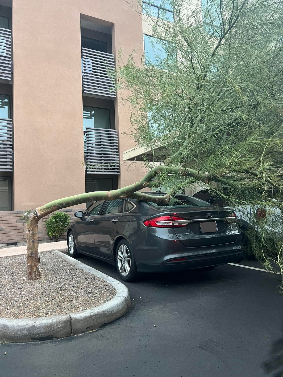 Bad Days Happen (20 pics)