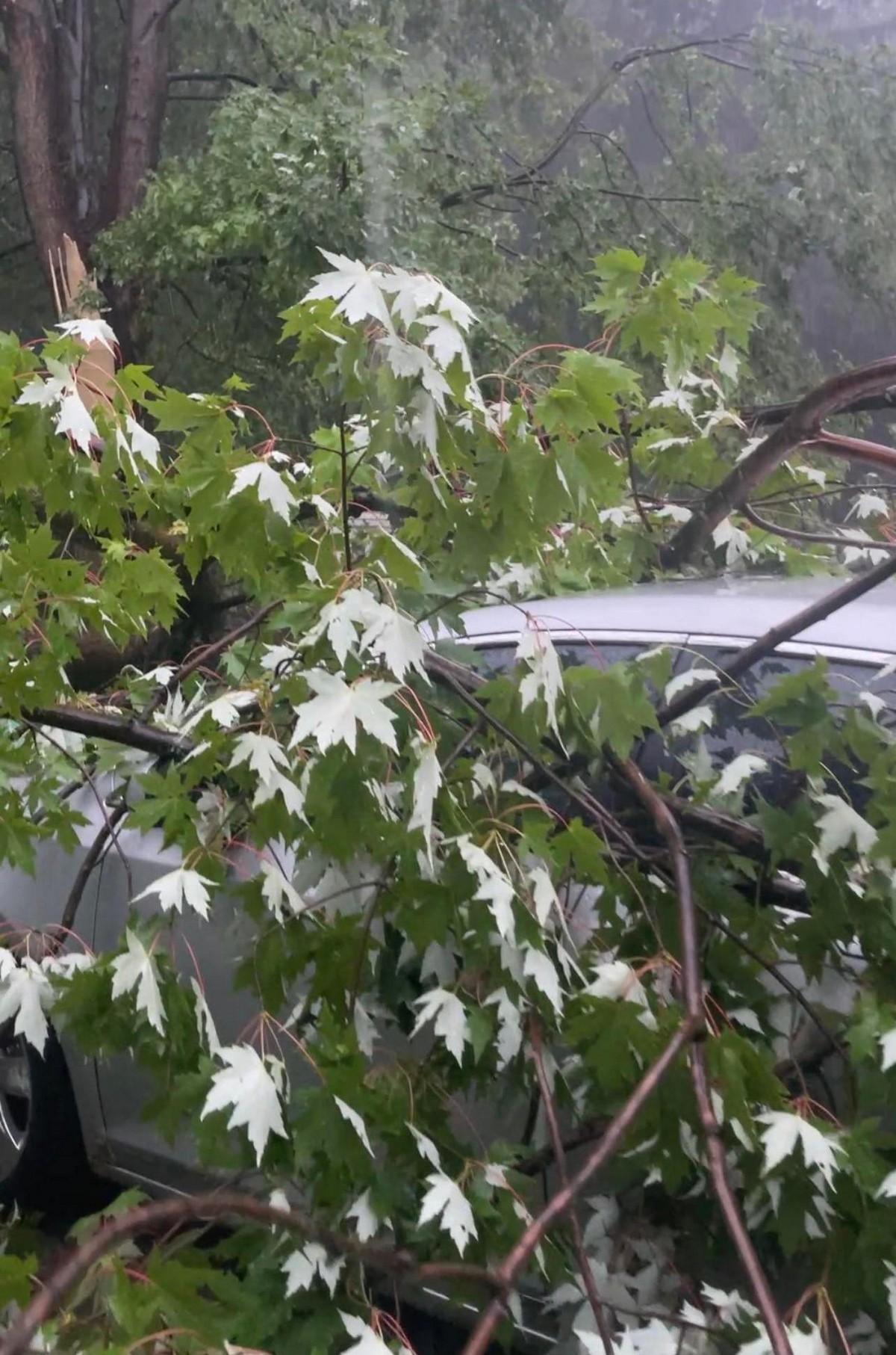 Bad Days Happen (20 pics)