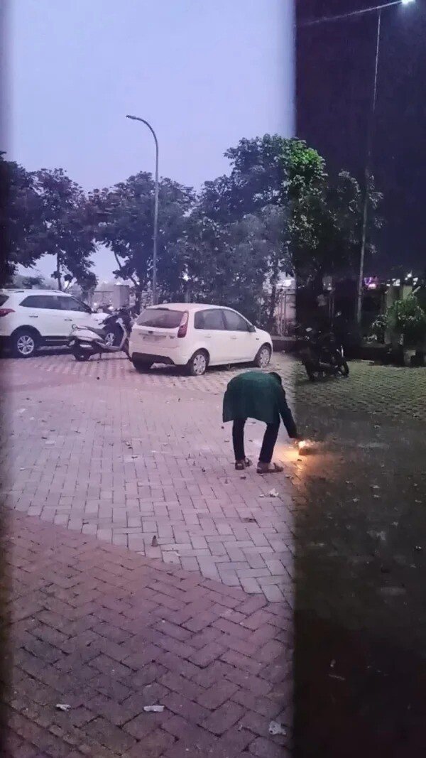 Right Moment (15 pics)